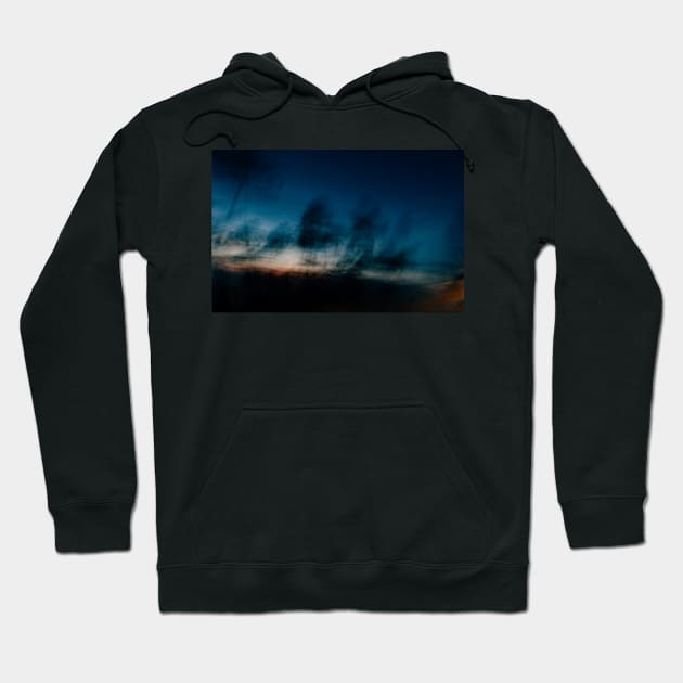 Blurred Trees at Dusk Hoodie by visualspectrum